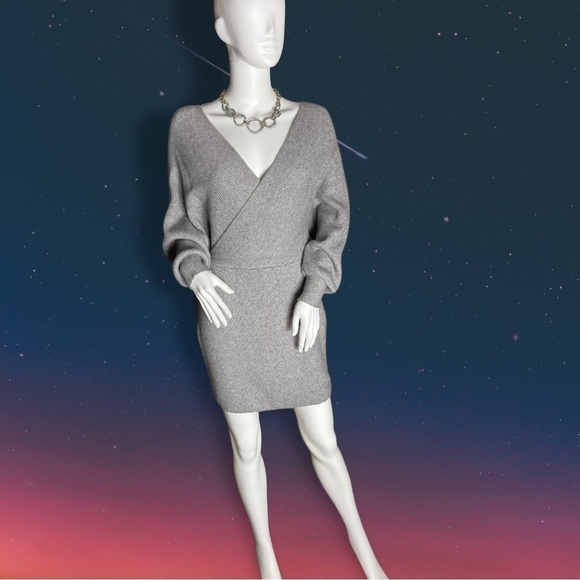 PETAL Roz Silver Gray Vneck Bodycon Sweater Dress Size Large - Picture 2 of 13